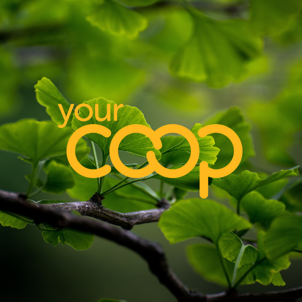 Your Co-op
